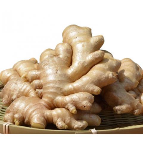 新鲜蔬菜山东特产新鲜大黄姜无硫熏大姜老姜...
