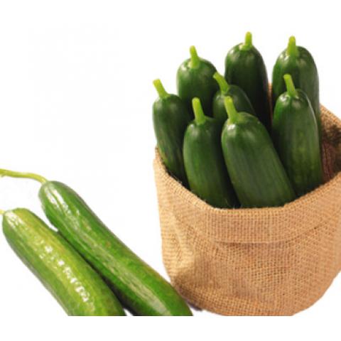 水果小黄瓜新鲜水果蔬菜无刺荷兰小黄瓜小青...
